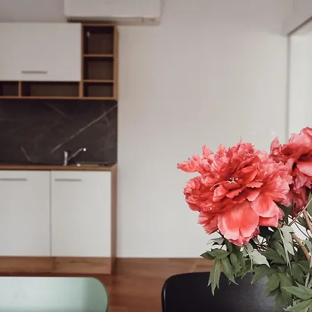 Maister 아파트 크란